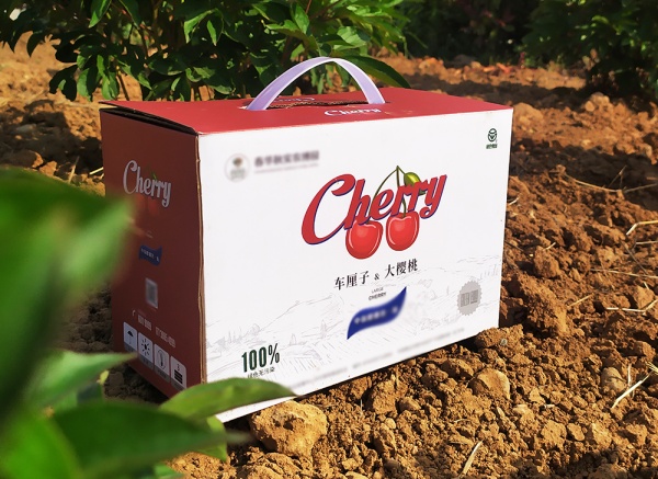 櫻桃、車?yán)遄佣Y盒